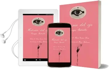 Descargar AudioLibro Historia del ojo de Georges Bataille año 1978