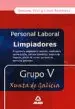 AudioLibro Limpiadores Xunta de Galicia (Grupo v): Temario y Test de Varios Autores