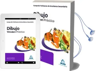 Descargar AudioLibro Cuerpo de Profesores de Enseñanza Secundaria. Dibujo. Volumen pra Ctico de Varios Autores año 2011
