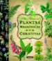 AudioLibro Plantas Medicinales y Curativa: Atlas Ilustrado de Varios Autores