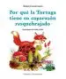AudioLibro Por qué la Tortuga Tiene su Caparazón Resquebrajado de Mabel Condemarín
