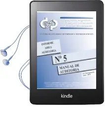 Descargar AudioLibro Informe Área Auditoría nº 5 Manual de Auditoría de Facpce año 2011