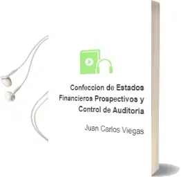 Descargar AudioLibro Confección de Estados Financieros Prospectivos y Control de Auditoría de Juan Carlos Viegas año 2011