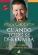 AudioLibro Cuando Todo se Derrumba de Pema Chodron
