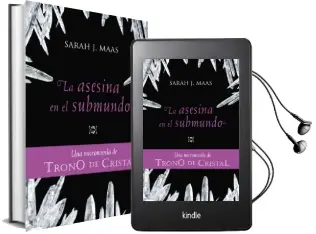 Descargar AudioLibro La Asesina en el Submundo de Sarah J. Maas año 2012