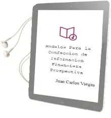 Descargar AudioLibro Modelos para la Confección de Información Financiera Prospectiva de Juan Carlos Viegas año 2012