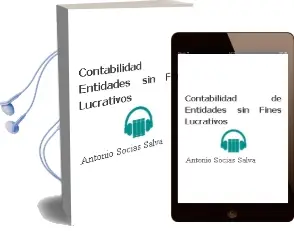 Descargar AudioLibro Contabilidad de Entidades sin Fines Lucrativos de Antonio Socías Salvá año 2013