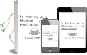 Descargar AudioLibro La Medición de la Eficiencia y la Productividad de Antonio Álvarez Pinilla año 2013