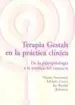 AudioLibro Terapia Gestalt en la Practica Clinica. de la Psicopatologia a la Estetica del Contacto de Francesetti Gianni