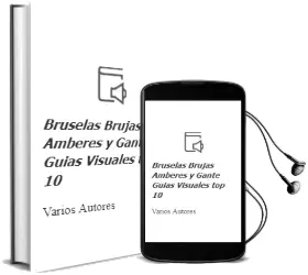 Descargar AudioLibro Bruselas, Brujas, Amberes y Gante (Guías Visuales top 10) de Varios Autores año 2014