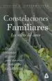 AudioLibro Constelaciones Familiares de Svagito R. Liebermeister