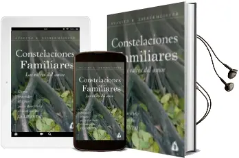 Descargar AudioLibro Constelaciones Familiares de Svagito R. Liebermeister año 2014