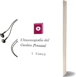 Descargar AudioLibro Ultrasonografia del Cerebro Prenatal de I. Timor año 2014
