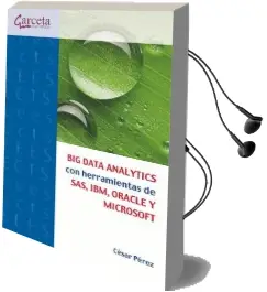 Descargar AudioLibro Big Data Analytics con Herramientas de Sas, Ibm, Oracle y Microsoft de César Pérez año 2015