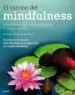 AudioLibro El Camino del Mindfulness de John D. Teasdale