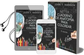 Descargar AudioLibro Hansen, Netter. Cuaderno de Anatomía para Colorear (2ª Ed.) de Hansen año 2015