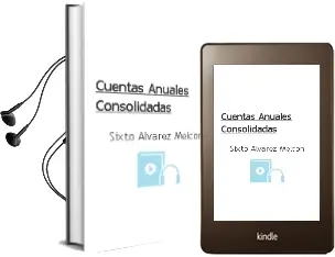 Descargar AudioLibro Cuentas Anuales Consolidadas de Sixto Álvarez Melcón año 2016
