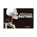 AudioLibro Secretos de Anatomia: Melloni s Pocket de Melloni´S