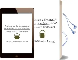 Descargar AudioLibro Análisis de la Empresa a Través de su Información Económico-Financiera de Julián González Pascual año 2016