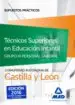AudioLibro Tecnicos Superiores en Educacion Infantil de la Administracion de Castilla y Leon (Grupo iii Personal Laboral de la Junta de Castilla y Leon): Supuestos Practicos de Varios Autores