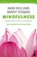 AudioLibro Mindfulness. Guia Practica de Danny Penman