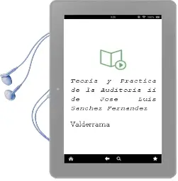 Descargar AudioLibro Teoría y Práctica de la Auditoría ii de José Luis Sánchez Fernández De Valderrama año 2016