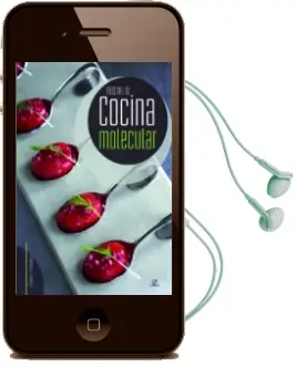 Descargar AudioLibro Recetas de Cocina Molecular de Carmen Fernandez año 2016