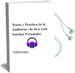 Descargar AudioLibro Teoría y Práctica de la Auditoría i de José Luis Sánchez Fernández De Valderrama año 2016