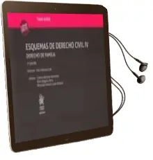 Descargar AudioLibro Esquemas de Derecho Civil iv Derecho de Familia Tomo Xxxvii (3ª ed) de Ana Cañizares Laso Carmen Sánchez Hernández Rocío Diéguez Oliva año 2017