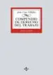 AudioLibro Compendio de Derecho del Trabajo (10ª Ed.) de Jesus Cruz Villalon
