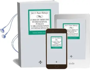 Descargar AudioLibro Curso de Derecho Internacional Publico y Organizaciones Internacionales (21ª Ed.) de Jose Antonio Pastor Ridruejo año 2017