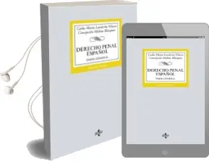 Descargar AudioLibro Derecho Penal Español: Parte General (6ª Ed.) de Carlos Maria Landecho Velasco año 2017