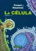 AudioLibro La Celula (7ª Ed.) de Cooper & Hausman