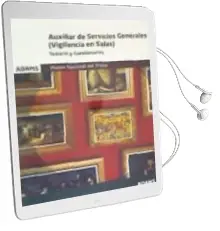 Descargar AudioLibro Auxiliar de Servicios Generales (Vigilancia de Salas) Museo Nacional del Prado: Temario y Cuestionario de Varios Autores año 2018