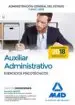 AudioLibro Auxiliar Administrativo de la Administracion General del Estado: Ejercicios Psicotecnicos de Varios Autores